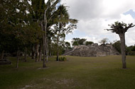 Mayan Temple at Kohunlich - kohunlich mayan ruins,kohunlich mayan temple,mayan temple pictures,mayan ruins photos